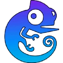 斯帕吉奇

、張稀哲、吳少聰傷情報告